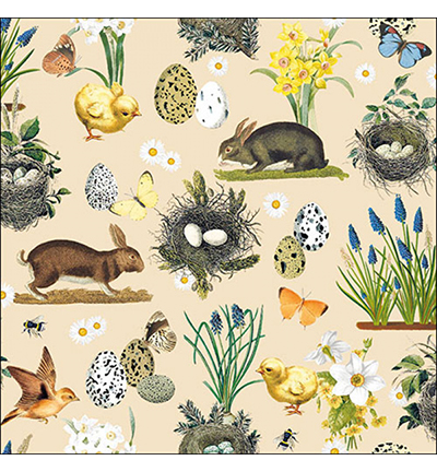 23311710 - Ambiente - Easter time cream - Serviettes – Pâques
