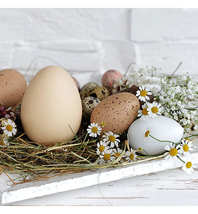 23314290 - Ambiente - Pastel eggs - Serviettes – Pâques