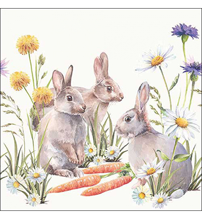 23318250 - Ambiente - Carrot treat - 