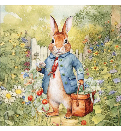 23320420 - Ambiente - Mister Rabbit - 