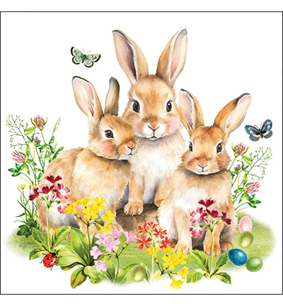 23320760 - Ambiente - Bunny family - 