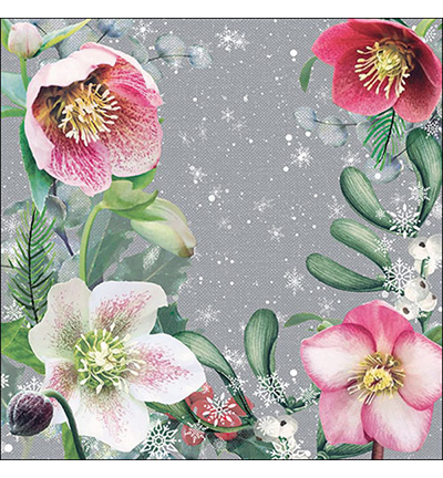 33315290 - Ambiente - Helleborus orientalis grey - Serviettes – Noël
