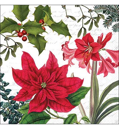 33316555 - Ambiente - Christmas plants white - Serviettes – Noël 33316555 - Ambiente - Christmas plants white - Serviettes – Noël
