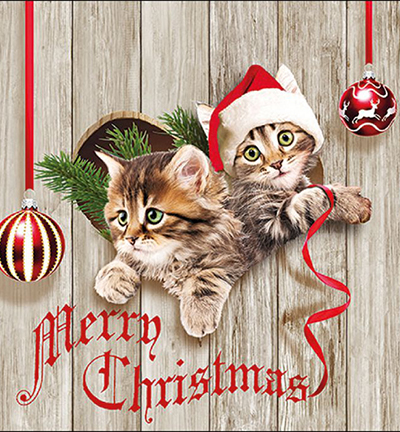 33316580 - Ambiente - Curious Kittens - Serviettes – Général