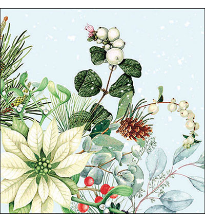 33318990 - Ambiente - White poinsettia - Serviettes – Noël
