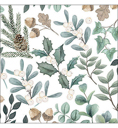 33319040 - Ambiente - Collection of leaves - 