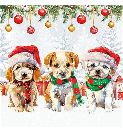 33320090 - Ambiente - Funny cute puppies - Serviettes – Noël