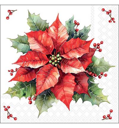 33320960 - Ambiente - Festive poinsettia white - Serviettes – Noël 33320960 - Ambiente - Festive poinsettia white - Serviettes – Noël