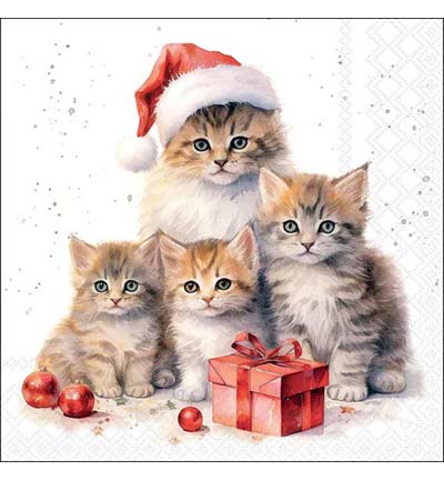 33321005 - Ambiente - Meaowy Christmas - Serviettes – Noël 33321005 - Ambiente - Meaowy Christmas - Serviettes – Noël