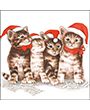 Servetten 20pcs / 33 x 33cm, Singing cats