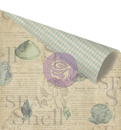 813567 - Prima Marketing - Double sided paper-Sea Shell - 12"x12" Paper