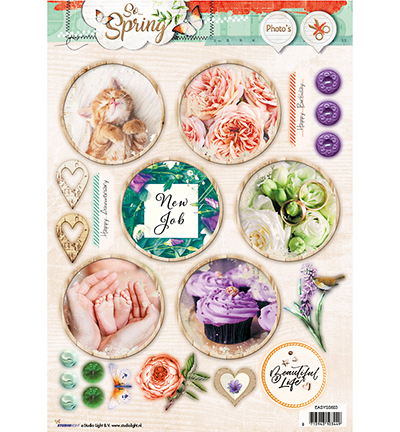 EASYSS603 - StudioLight - So Spring, Nr 603 - A4 Papier Die Cut
