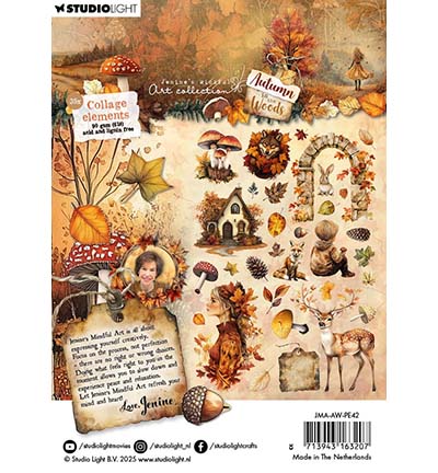 JMA-AW-PE42 - Jenine's - Collage elements Autumn In The Woods nr. 42 - 