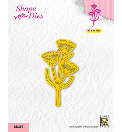SD253 - Nellie's Choice - Garden, Umbellifer - Fleurs