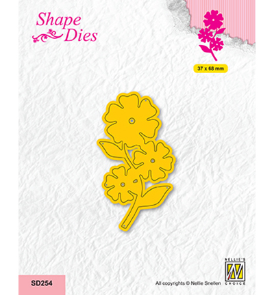 SD254 - Nellie's Choice - Garden, Black-eyed Susan vine - Fleurs