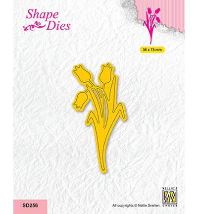 SD256 - Nellie's Choice - Garden, Tulips - Fleurs
