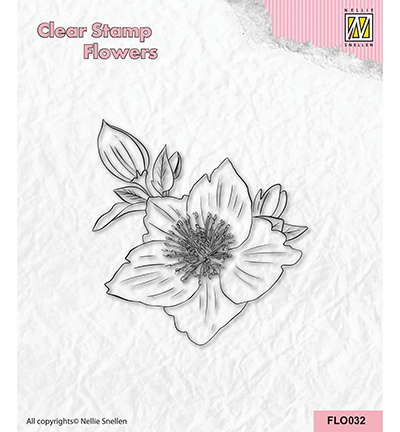FLO032 - Nellie's Choice - Helleborus - Tampons fleurs FLO032 - Nellie's Choice - Helleborus - Tampons fleurs