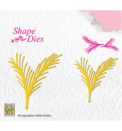 SD140 - Nellie's Choice - Conifer Branch - Fleurs