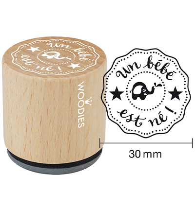 WF6006 - Woodies - Un bébé est né ! - 