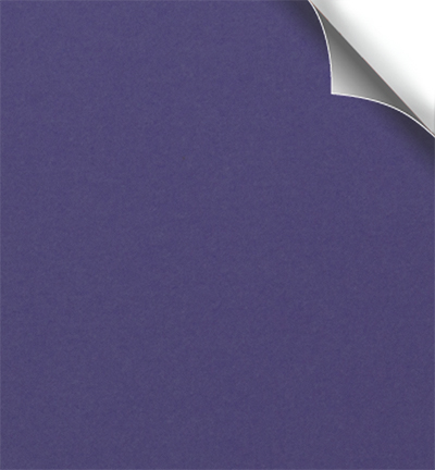 212908 - Papicolor - Violet foncé - 