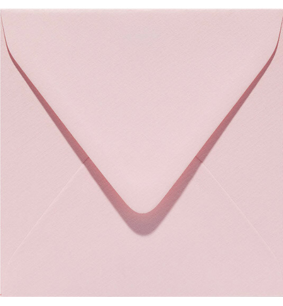 303934 - Papicolor - Rose pale - 