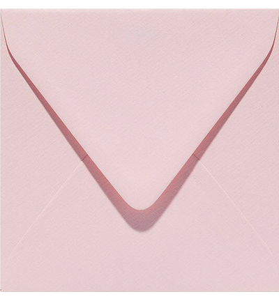 304934 - Papicolor - Rose pale - 