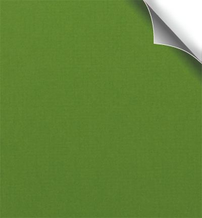 300907 - Papicolor - Vert herbe - 