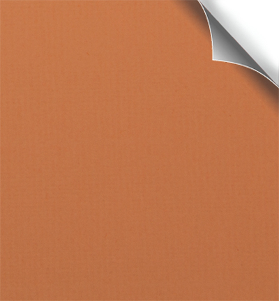 300924 - Papicolor - Abricot - 