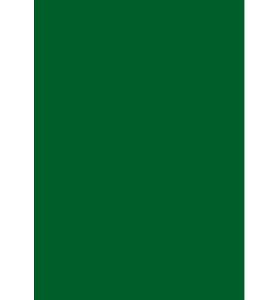 301950 - Papicolor - Carton, Vert pin - 