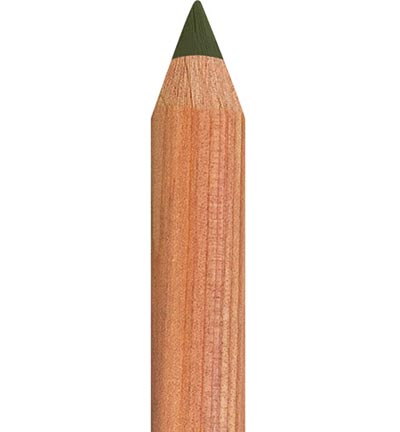 FC-112273 - Faber Castell - 173 Olive Green Yellowish - Crayons pastel Pitt FC-112273 - Faber Castell - 173 Olive Green Yellowish - Crayons pastel Pitt