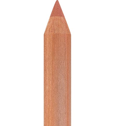 FC-112289 - Faber Castell - 189 Cinnamon - FC-PITT Crayons pastels