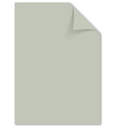 K-0039P006 - Kangaro - Papier Kangaro, Pastel Grijs - 160 g K-0039P006 - Kangaro - Papier Kangaro, Pastel Grijs - 160 g