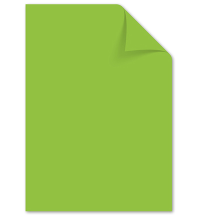 K-0043F275 - Kangaro - Papier Kangaro, Groen - 