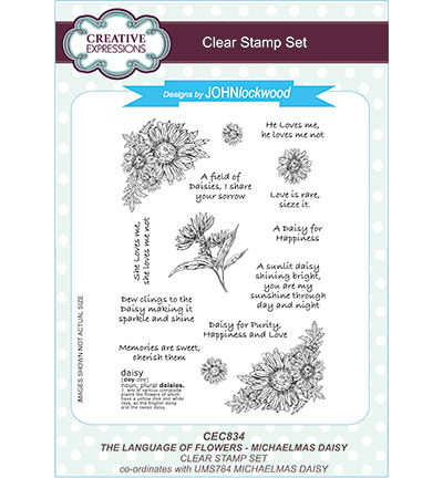 CEC834 - Creative Expressions - Michaelmas Daisy - 
