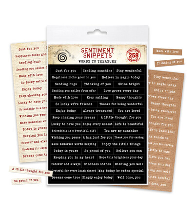 12-CDS19WT - Cosmic Shimmer - Words to Treasure - 