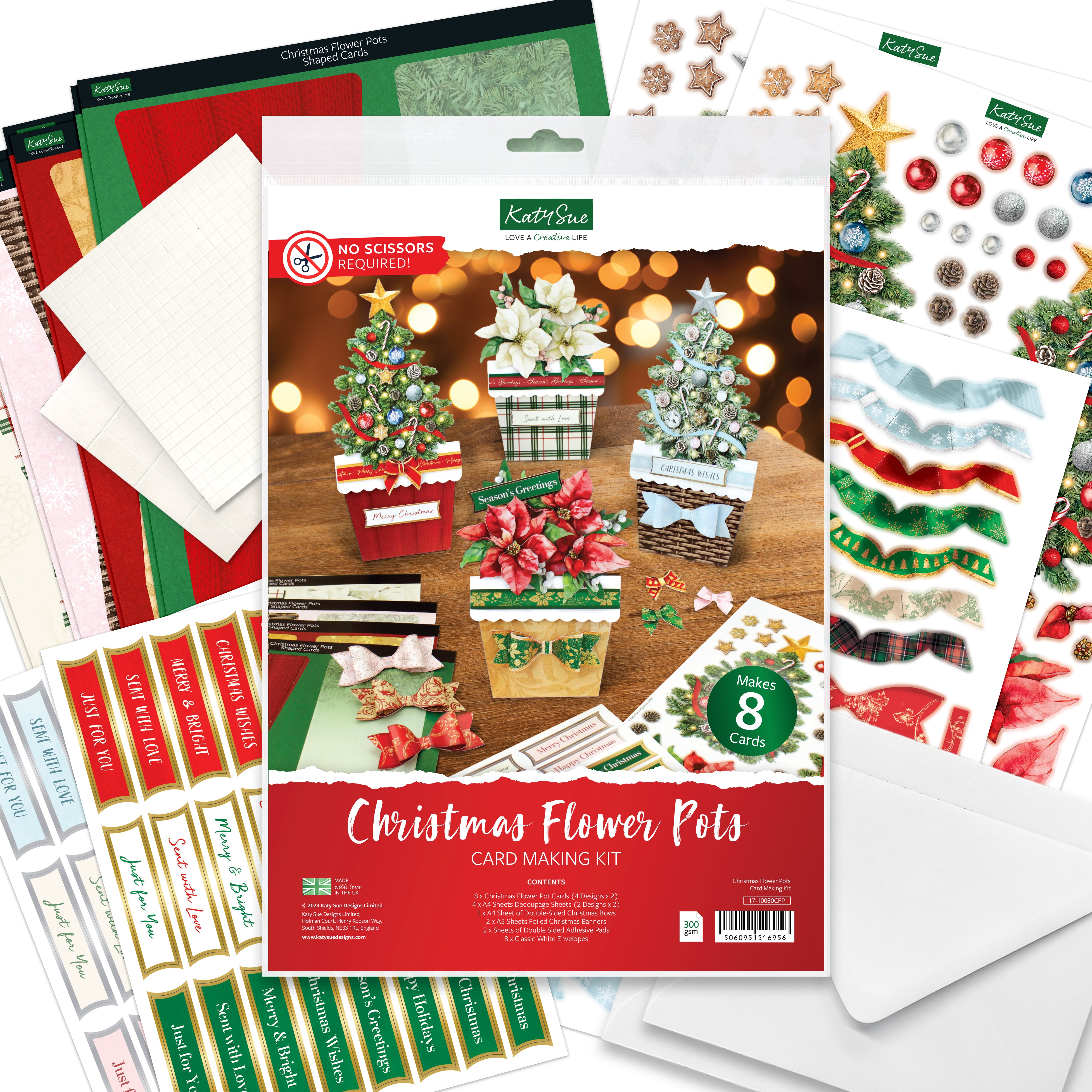 17-10080CFP - Katy Sue Designs - Kit de cartes – Christmas Flower Pots - Card Making Kits
