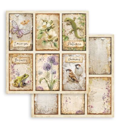 SBB1149 - Stamperia - Stamperia Papier recto-verso – All Around 6 Cards - 