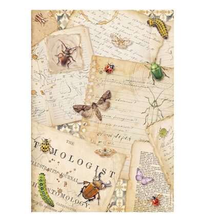 DFSA41119 - Stamperia - Stamperia Papier de riz A4 – All Around Letters - 