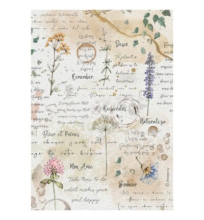 DFSA41160 - Stamperia - Stamperia papier de riz A4 – Flowers and Poems Flowers and writings - DFSA41160 - Stamperia - Stamperia papier de riz A4 – Flowers and Poems Flowers and writings -