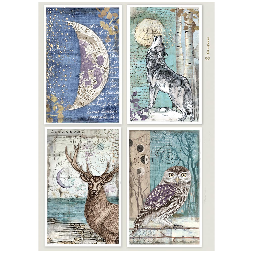 DFSA41153 - Stamperia - Stamperia papier de riz A4 – Cosmos 4 Cards - 