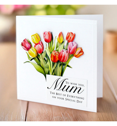 11-DCDBOU12 - Katy Sue Designs - Bunny Kisses & Fluffy Tails - 3D Die Cut Decoupage - Detail 1