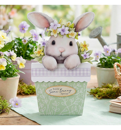 17-10109BFP - Katy Sue Designs - Bunny Tails & Flower Pots - Card Making Kits - Detail 2 17-10109BFP - Katy Sue Designs - Bunny Tails & Flower Pots - Card Making Kits - Detail 2