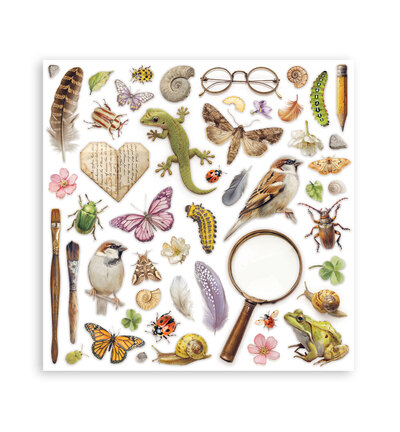 SBBL187 - Stamperia - Stamperia Bloc papier 12x12 – All Around - Scrapbooking Pad - Detail 7 SBBL187 - Stamperia - Stamperia Bloc papier 12x12 – All Around - Scrapbooking Pad - Detail 7