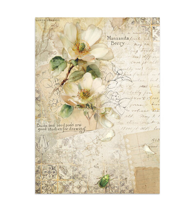 SBJK20 - Stamperia - Stamperia Junk Journal – All Around - Junk journal - Detail 7