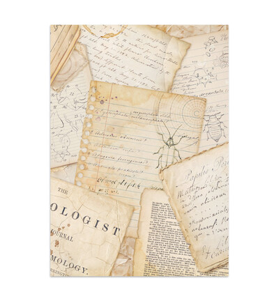 SBJK20 - Stamperia - Stamperia Junk Journal – All Around - Junk journal - Detail 17