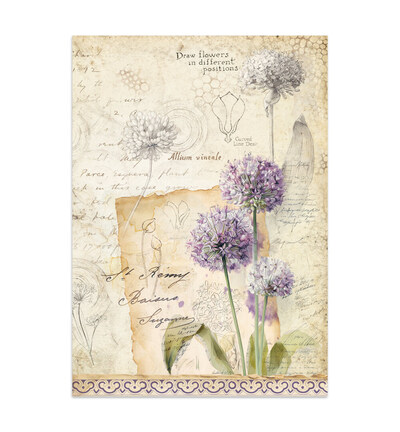 SBJK20 - Stamperia - Stamperia Junk Journal – All Around - Junk journal - Detail 21