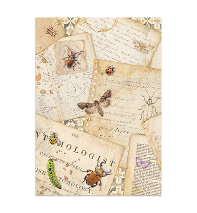 SBJK20 - Stamperia - Stamperia Junk Journal – All Around - Junk journal - Detail 34