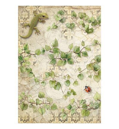 DFSA4XAR - Stamperia - Stamperia Selection papier de riz A4 – All Around - Rice Paper Selection - Detail 5