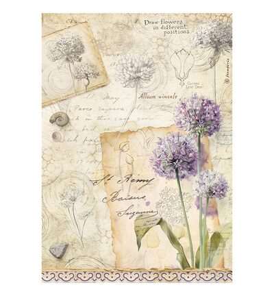 DFSA4XAR - Stamperia - Stamperia Selection papier de riz A4 – All Around - Rice Paper Selection - Detail 6