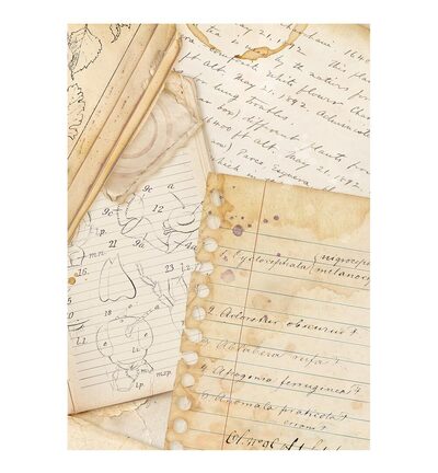 DFSAK6054 - Stamperia - Stamperia Papier de riz fonds A6 – All Around - Rice Paper Backgrounds - Detail 3 DFSAK6054 - Stamperia - Stamperia Papier de riz fonds A6 – All Around - Rice Paper Backgrounds - Detail 3